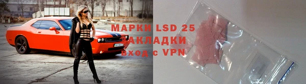 ECSTASY Алзамай