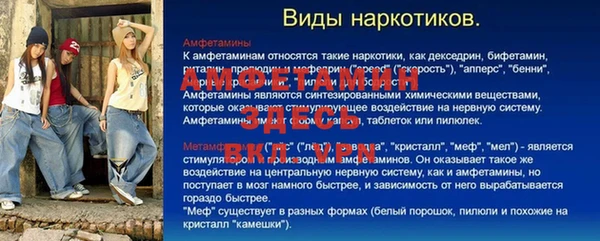 ECSTASY Алзамай