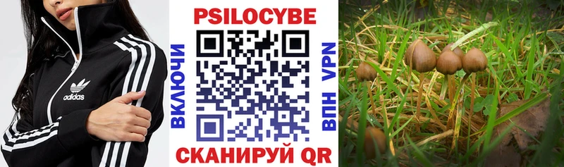Псилоцибиновые грибы GOLDEN TEACHER  Евпатория 