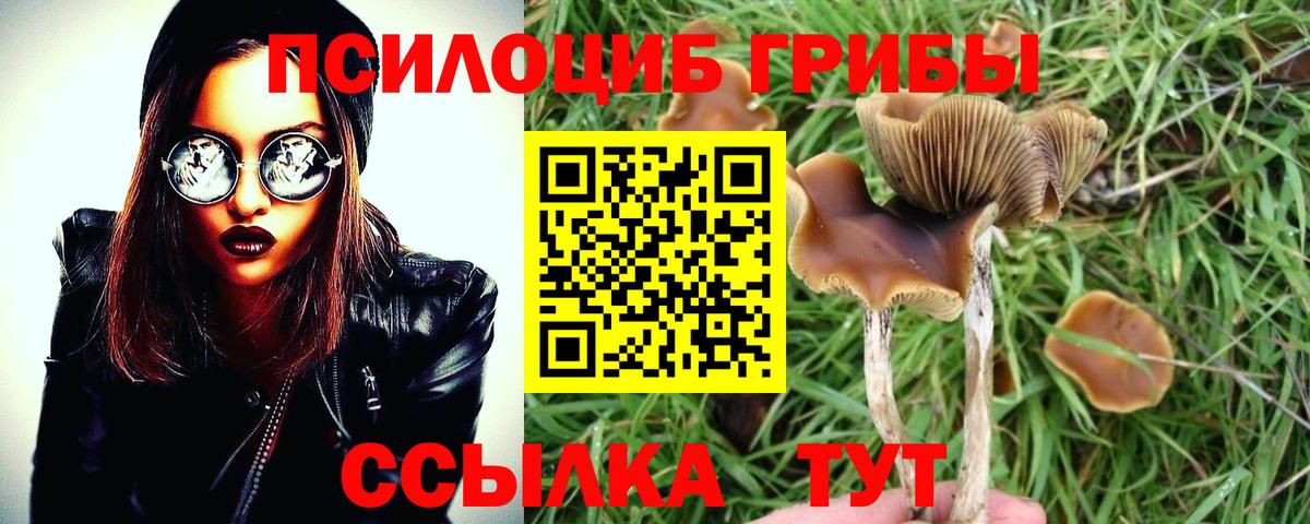 Псилоцибиновые грибы GOLDEN TEACHER  Вход с VPN  Евпатория 